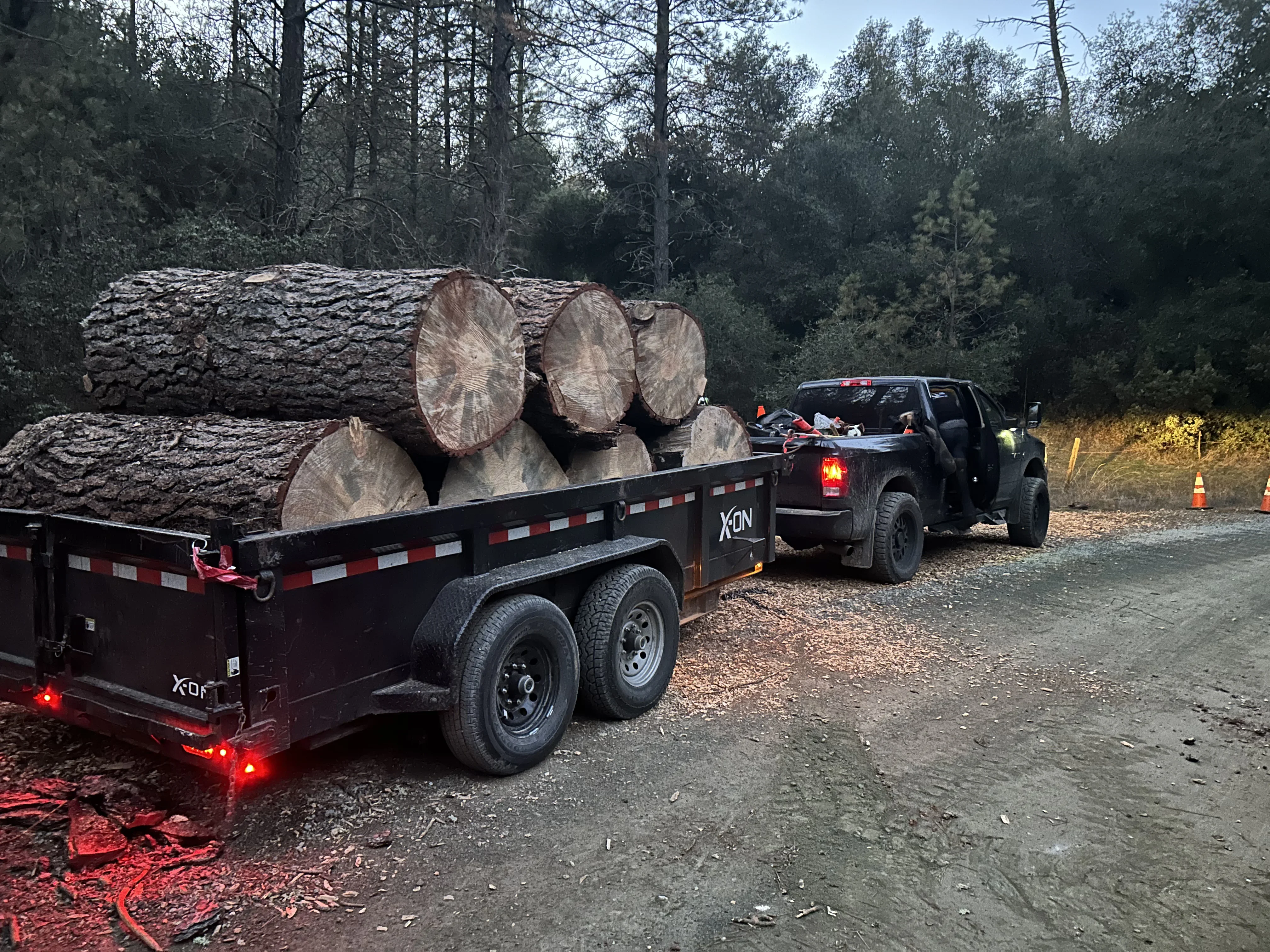 Dual-axle flatbed trailer loaded with large cut logs, towed by pickup truck at forest site