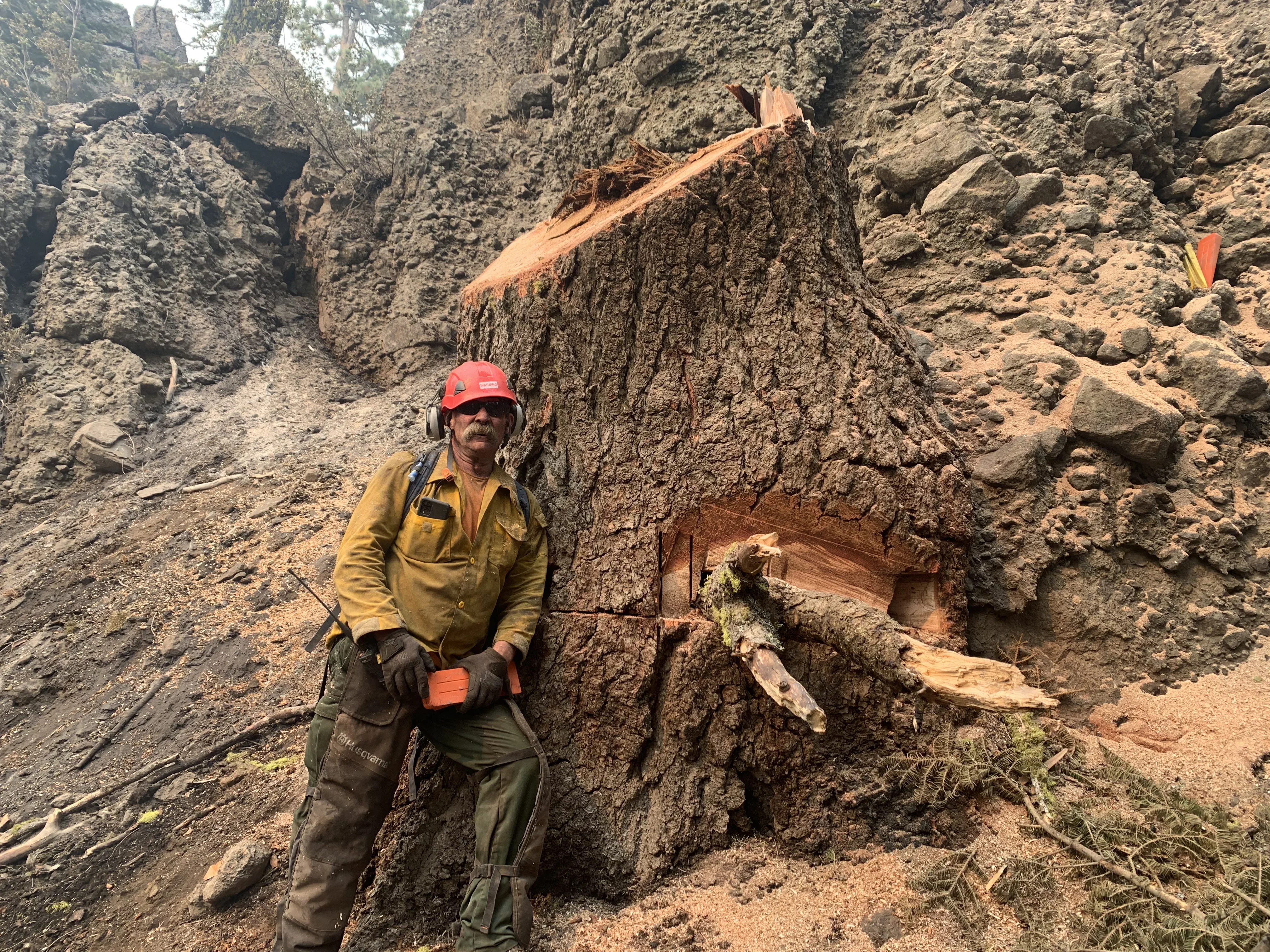 Arborist in safety gear next to freshly cut large tree stump in rocky canyon setting