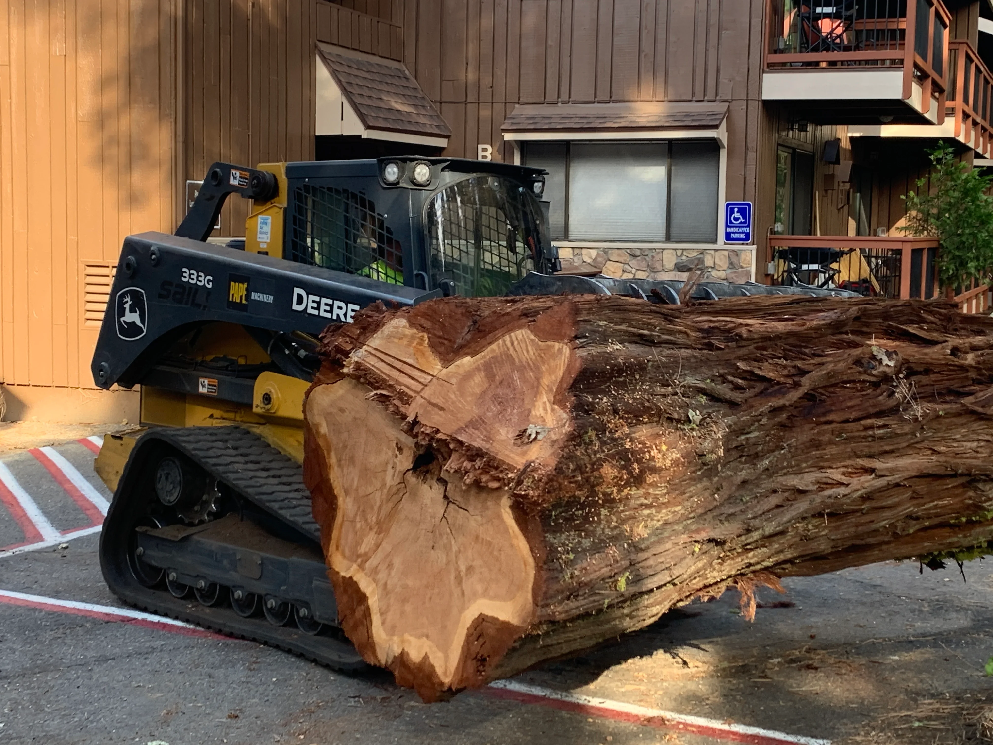 Deere skid steer loader moving large felled tree logs on residential driveway