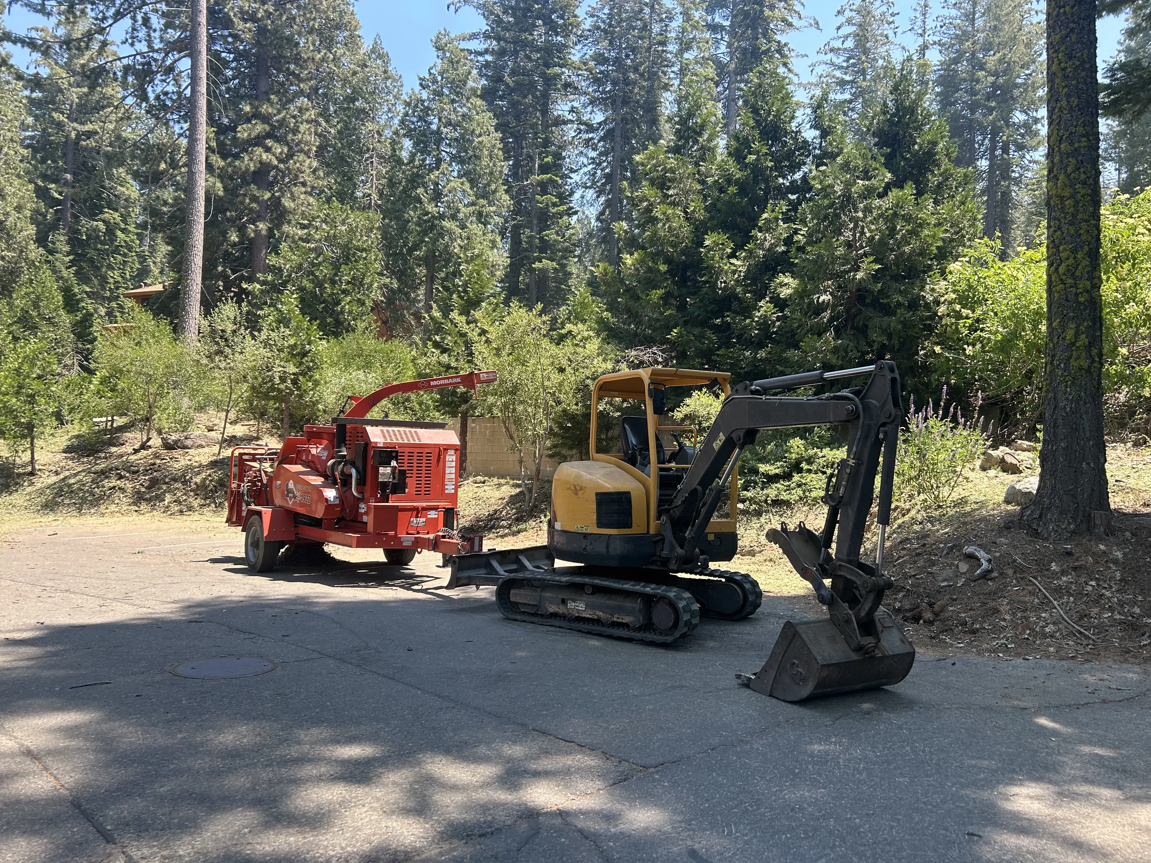 Red wood chipper and yellow compact excavator clearing forest understory vegetation